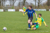 S.K.N.W.K. 1 - Colijnsplaatse Boys 1 (competitie) seizoen 2023-2024 (41/99)